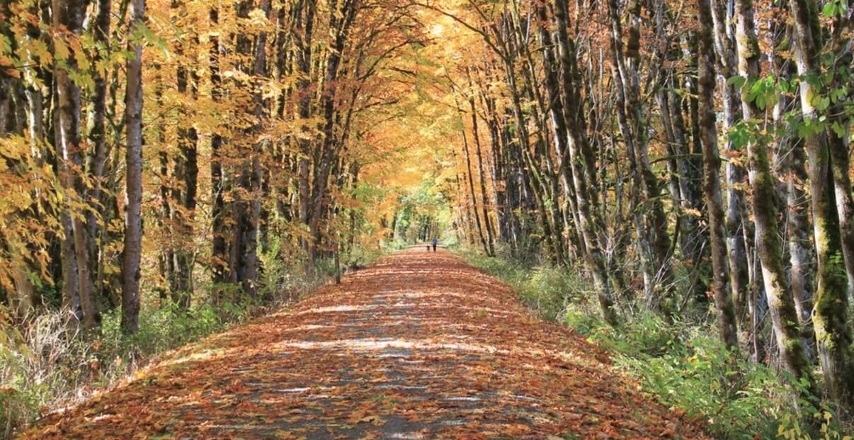 16 Best RailTrails for Biking and Hiking in Washington State Wild