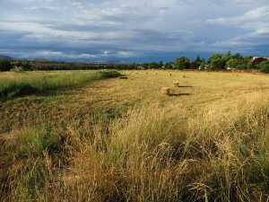 17 Amazing Trails for Hiking and Running near Reno, NV – Wild