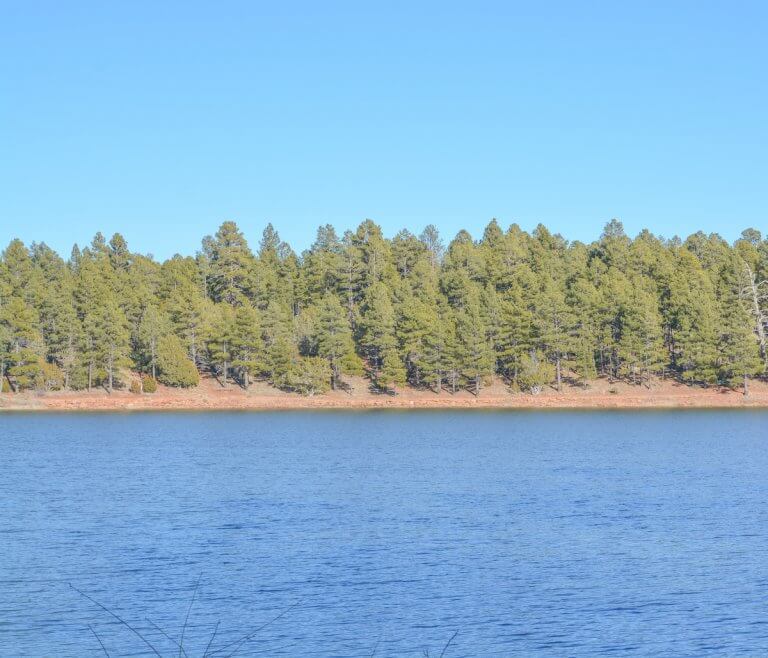 11 Amazing Recreational Lakes near Show Low, AZ Wild