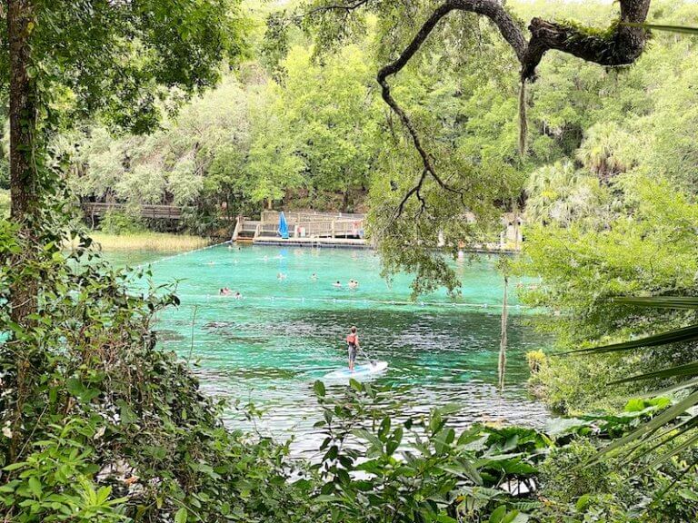 ItIsWild.com: Best State Parks near Gainesville, FL