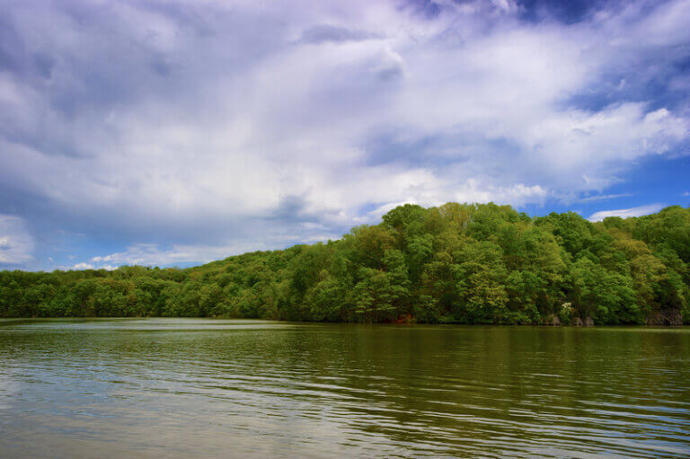 11 Stunning Recreational Lakes near Johnson City, TN Wild