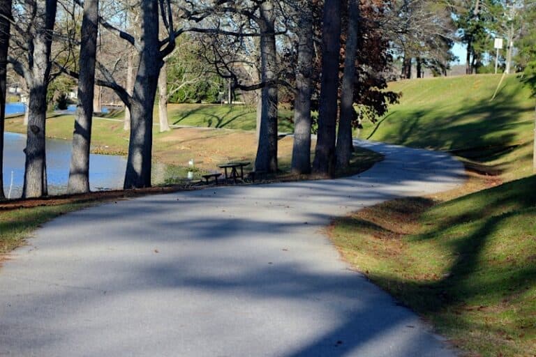 11 Fantastic Recreational Lakes near Augusta, GA Wild