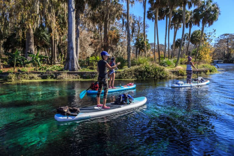 Paddleboarders at Florida's historic endangered Silver Springs State Park near Ocala, Florida