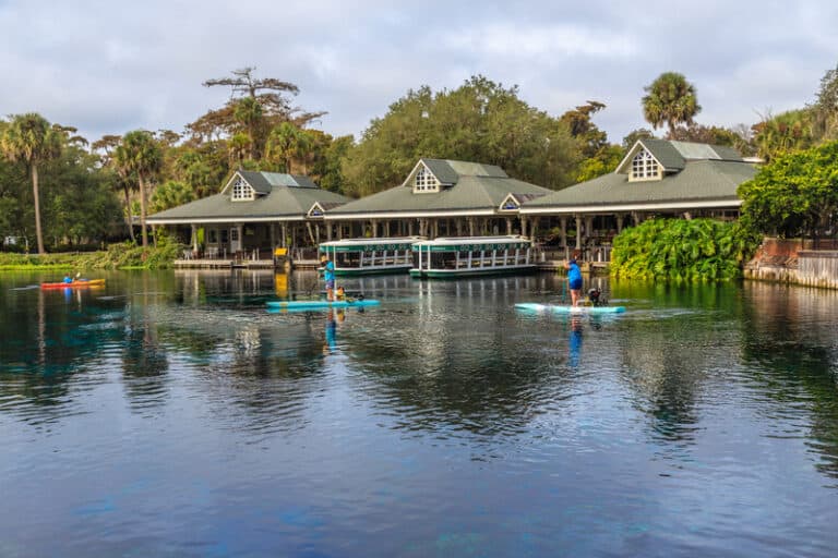 paddleboarders were enjoying the warm Sunshine State Florida winter climate at the famous Silver Springs State Park in Ocala, Florida